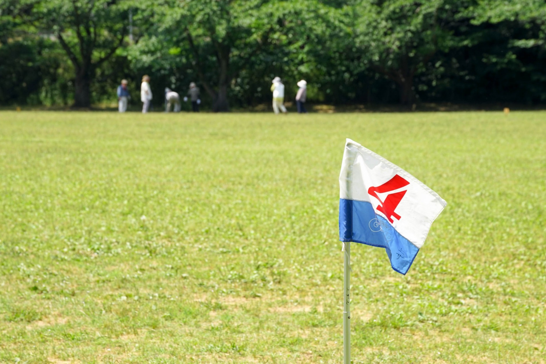 日向市グラウンド・ゴルフ協会紹介画像