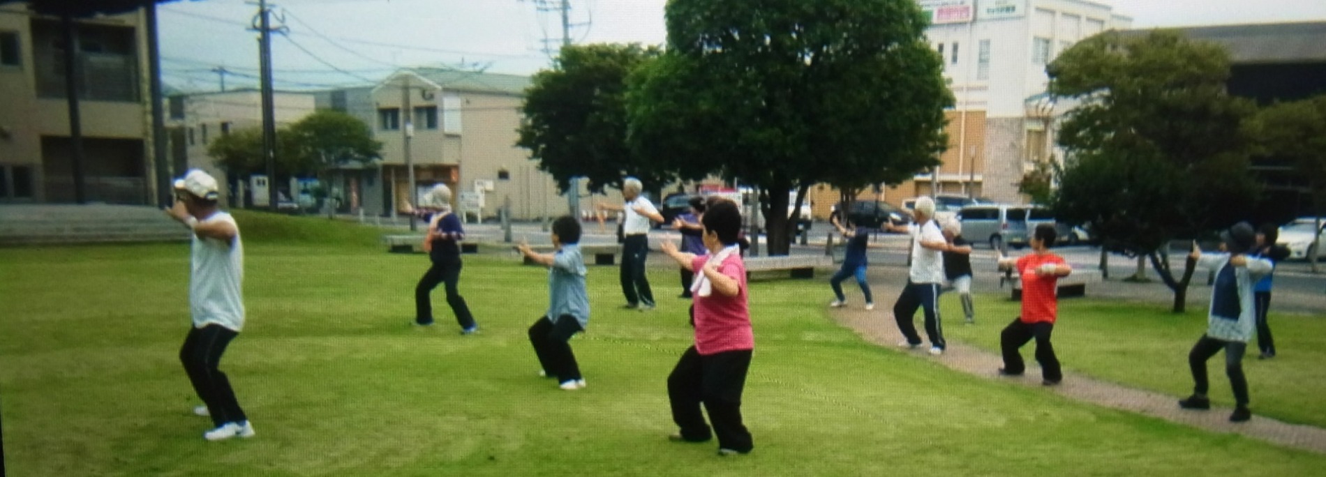 日向市太極拳協会紹介画像